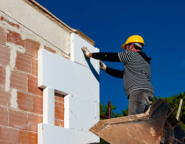 Best Cellulose Insulation in Baltimore Highlands, MD