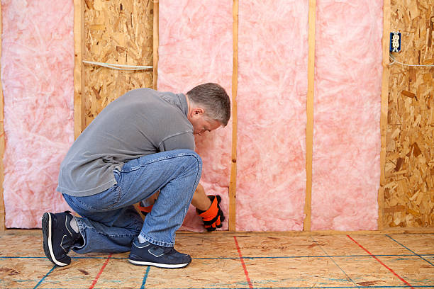 Best Blown-in Insulation in Baltimore Highlands, MD