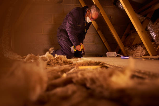 Best Eco-Friendly Insulation in Baltimore Highlands, MD