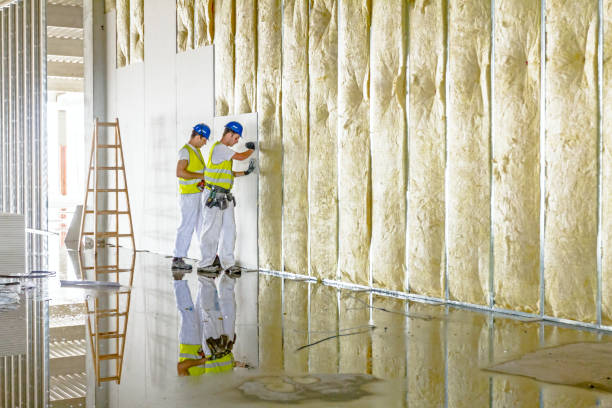 Best Energy Efficiency Insulation in Baltimore Highlands, MD